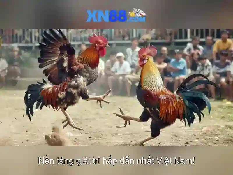 💎888slot slot speler💎