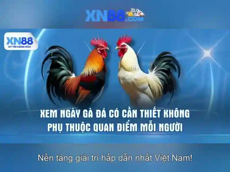 💎keo. bong đa nha cái💎