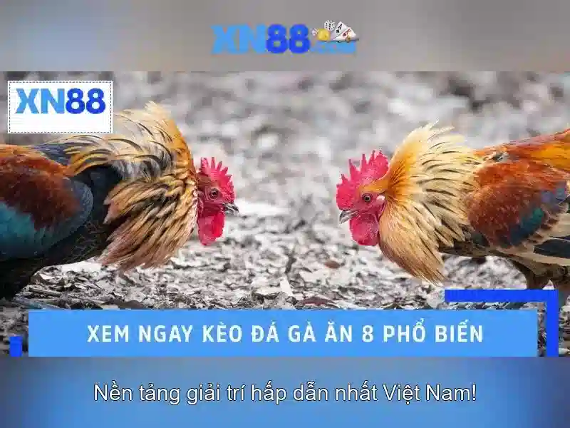 💎bác sĩ danh cường viện c💎