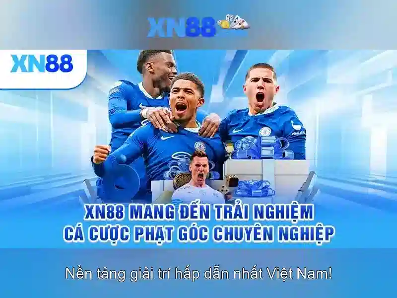 💎xn88 bingo plus💎