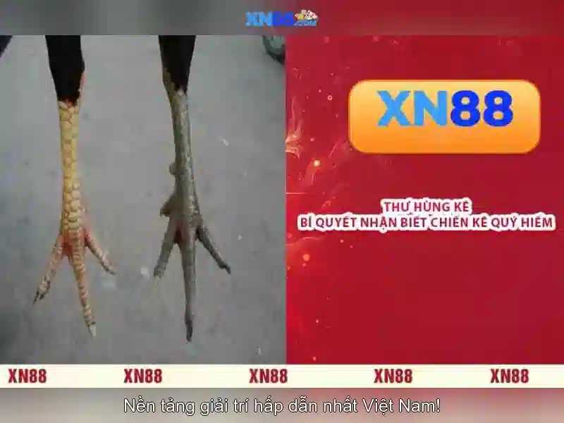 💎online game 888 slot 777💎