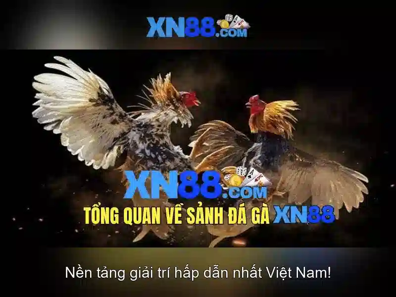 💎wow xn88 login💎