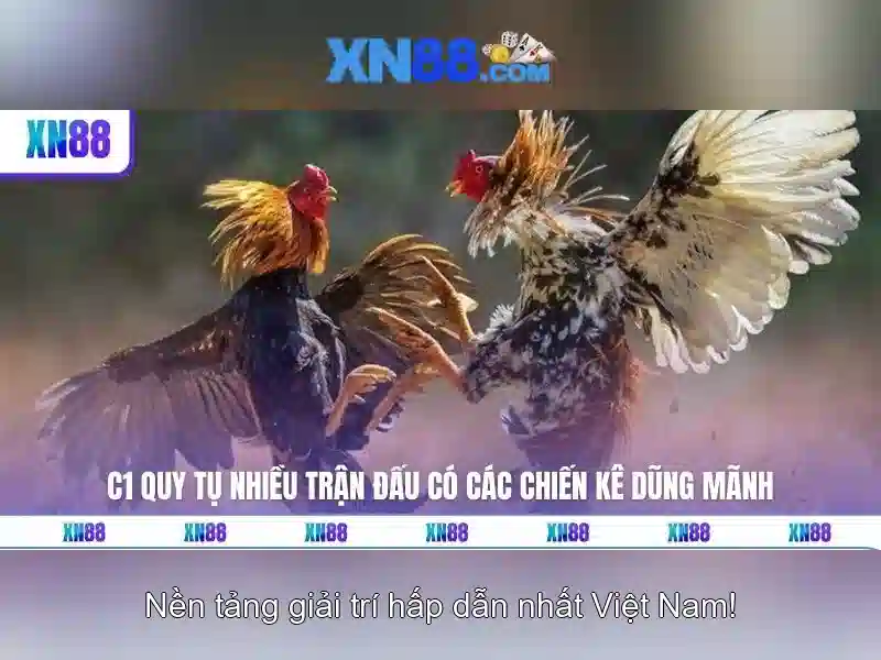 💎định nghĩa đánh bạc💎
