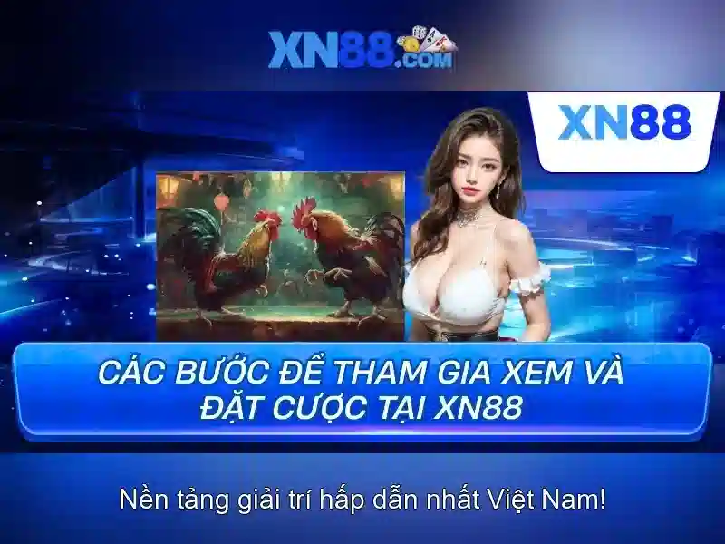 💎ceo xn88 entertainment💎