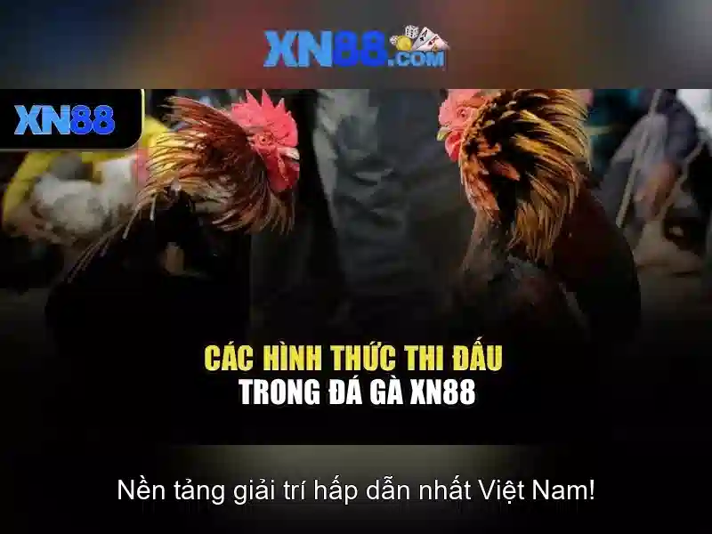 XN88 – Trang Chủ Slot Có Uy Tín Không Bị Chặn 2026 - XN88