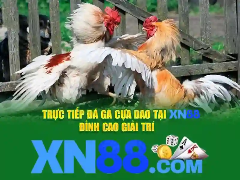 tỷ lệ cược Slot - XN88